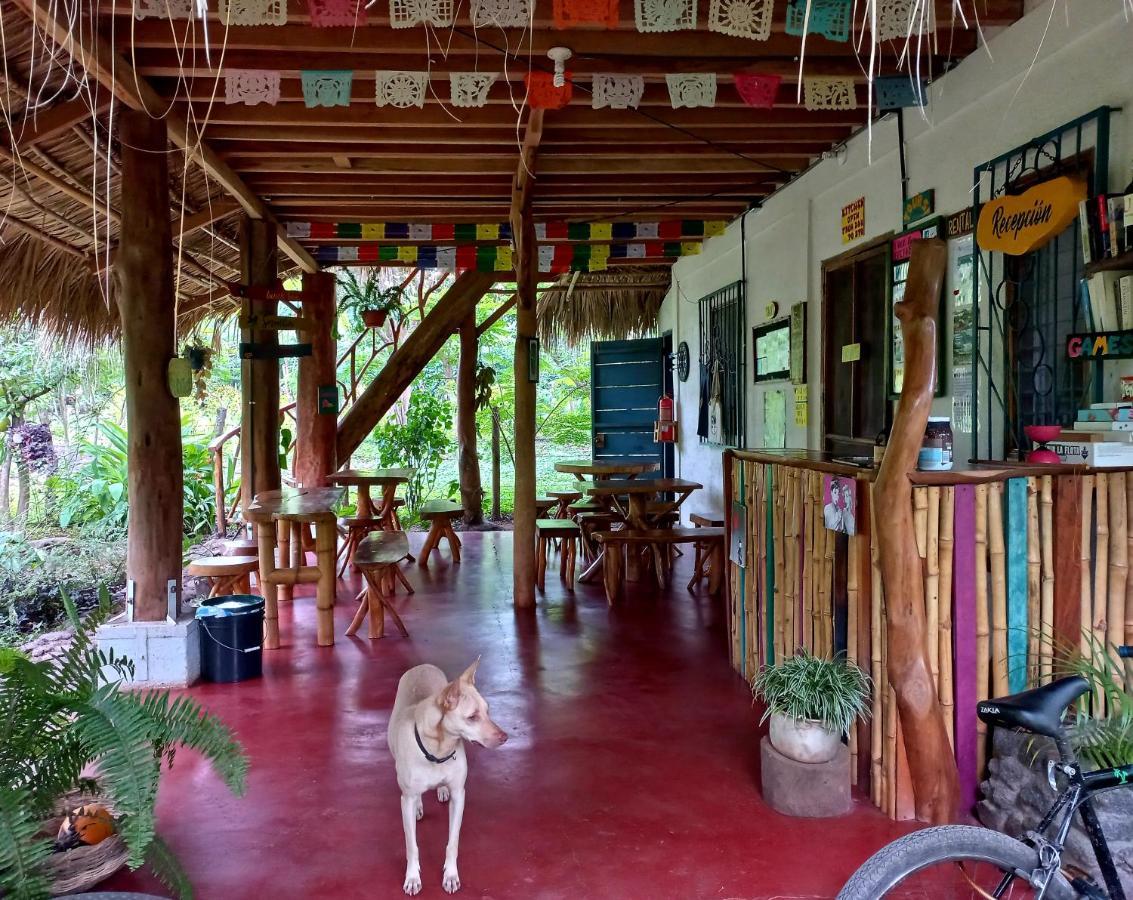 La Urraca Loca Hostel Balgue المظهر الخارجي الصورة