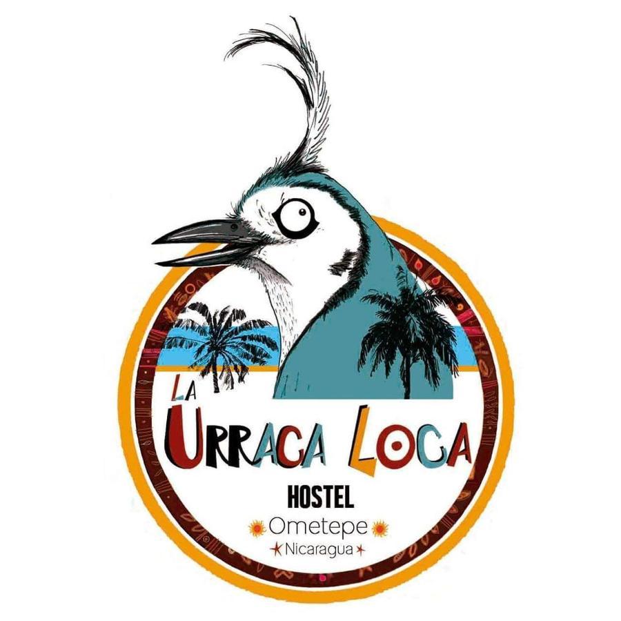 La Urraca Loca Hostel Balgue المظهر الخارجي الصورة